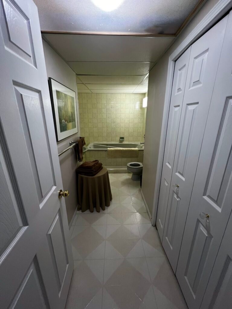 Bathroom Reno Before Image
