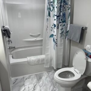 Bathroom renovation